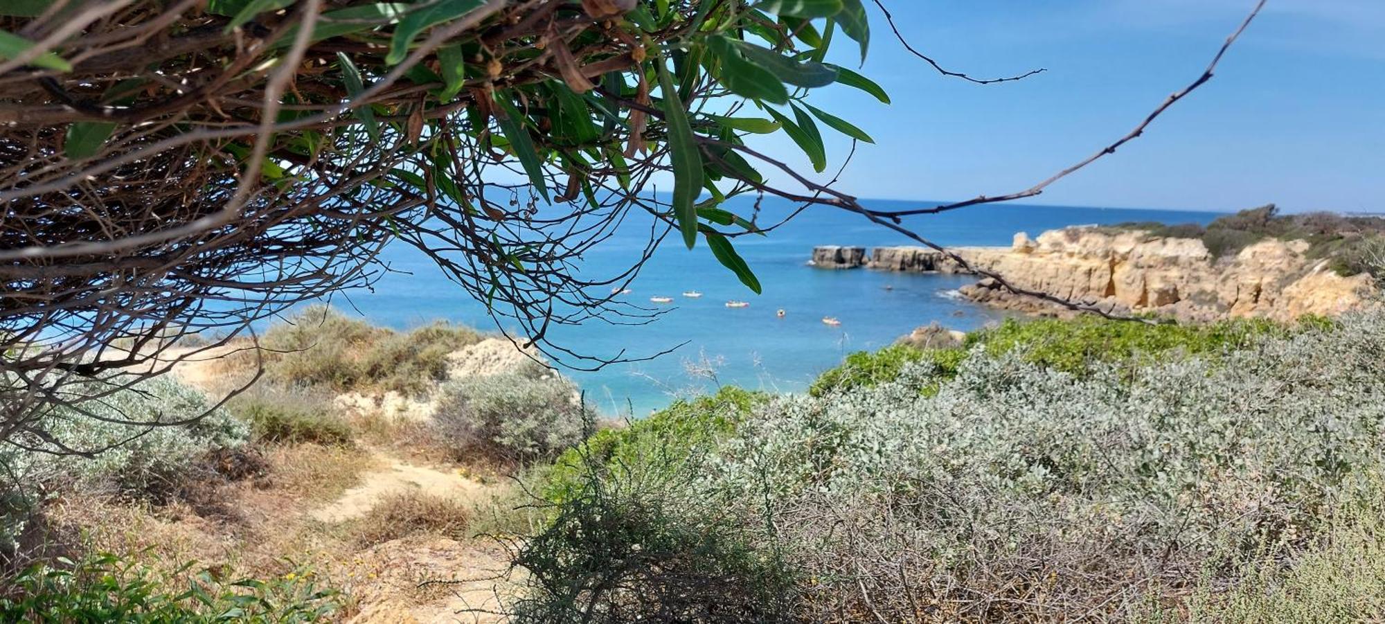 Baia Village - Praia Do Castelo - Gale - Albufeira Esterno foto